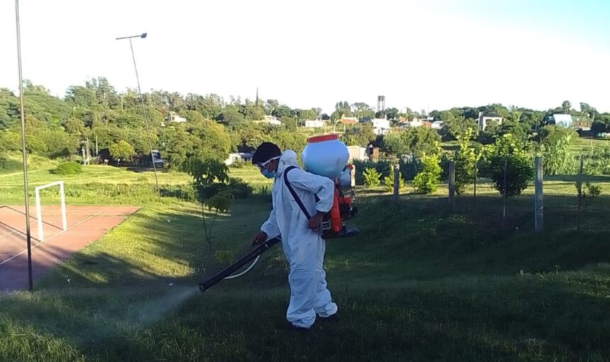 Frente a la proliferación de mosquitos, el Municipio fumiga en los espacios públicos